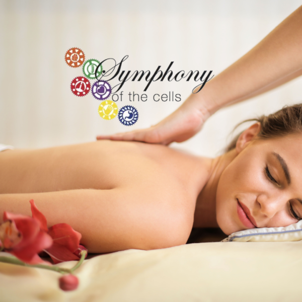 Symphony of the Cells Workshop voor 2 personen