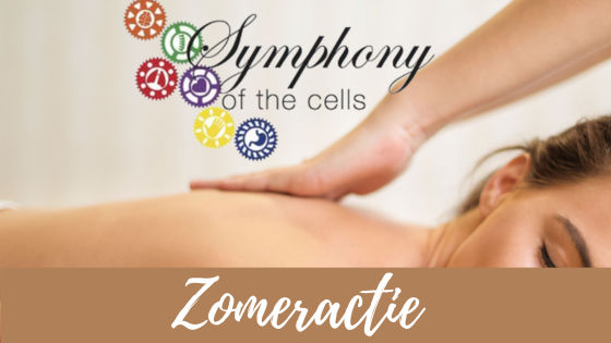 Zomeractie Symphony of the Cells strippenkaart